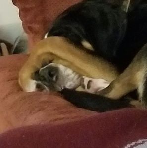 Meet your Posher, Paul